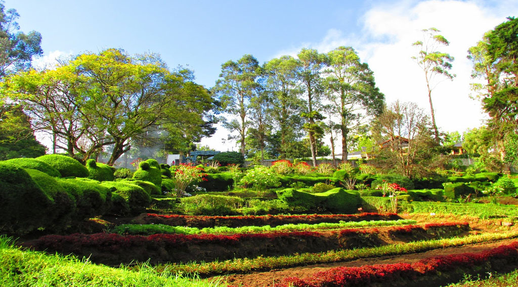 kodaikanal-chettiar-park