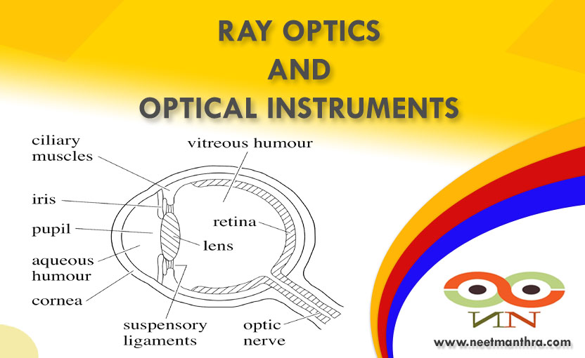 RAY OPTICS AND OPTICAL INSTRUMENTS