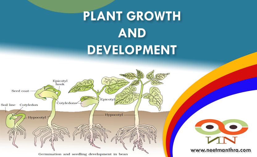 PLANT GROWTH AND DEVELOPMENT