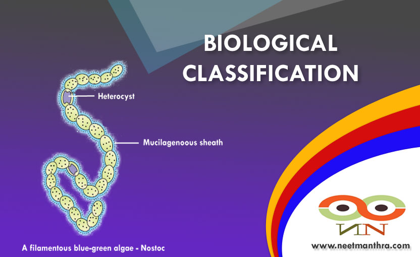 BIOLOGICAL CLASSIFICATION