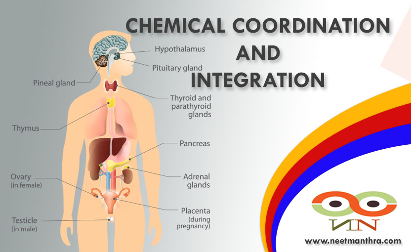 CHEMICAL COORDINATION AND INTEGRATION
