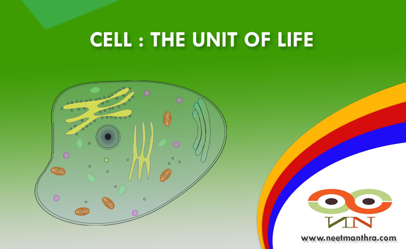 CELL : THE UNIT OF LIFE